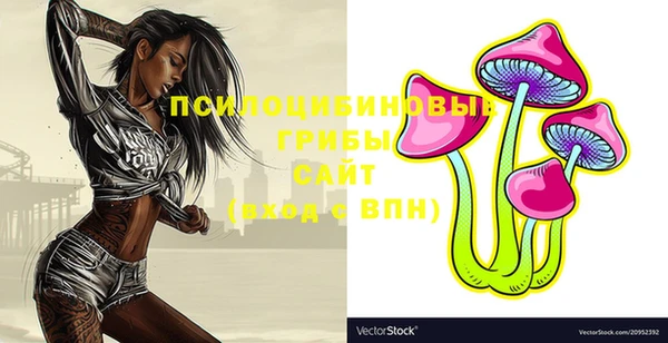 шишки Шарыпово