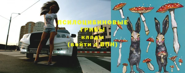 Альфа ПВП Шали